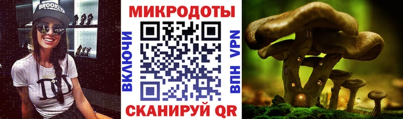 Псилоцибиновые грибы Cubensis  мега ссылка  Узловая 